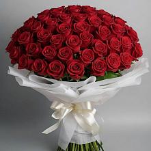 Букет 101 Красная роза Блэк Мэджик в Третьяках