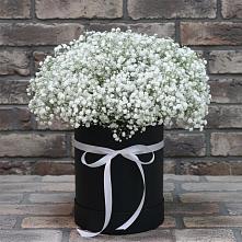 Цветочная композиция из Гипсофила в шляпной коробке #REPLACE_PRED# Третьяках