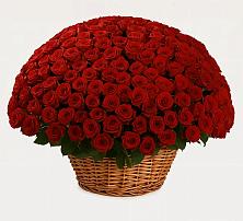 Премиум букет из: Розы в Третьяках